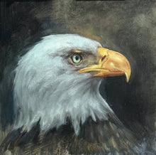 Load image into Gallery viewer, Bald Eagle portrait - 10x10 - oil on panel - Unframed
