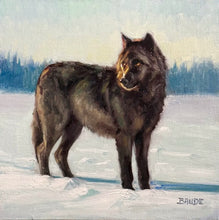 Load image into Gallery viewer, Warden of the North - 12x12 - oil on linen