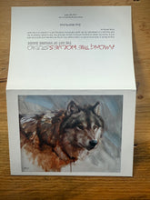 Load image into Gallery viewer, Gray wolf Portrait