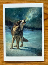 Load image into Gallery viewer, Spirit of the North