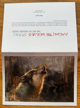 Load image into Gallery viewer, Wolf Spirit