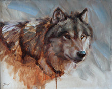 Load image into Gallery viewer, Gray wolf Portrait