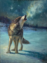 Load image into Gallery viewer, Spirit of the North