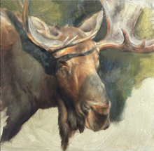 Load image into Gallery viewer, Bull Moose close up - 12x12 - Unframed