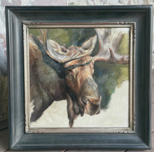 Load image into Gallery viewer, Bull Moose close up - 12x12 - Unframed