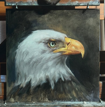 Load image into Gallery viewer, Bald Eagle portrait - 10x10 - oil on panel - Unframed