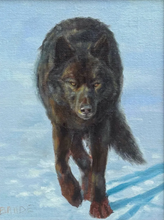 Load image into Gallery viewer, Northern Path - 9x12