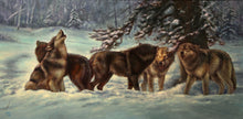 Load image into Gallery viewer, The Wonder Song - 36x72